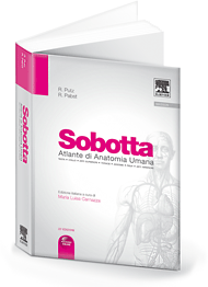 Book Sobotta